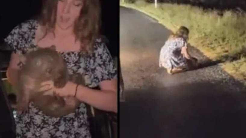 American Influencer Sam Jones Leaves Australia After Outrage Over Baby Wombat Video