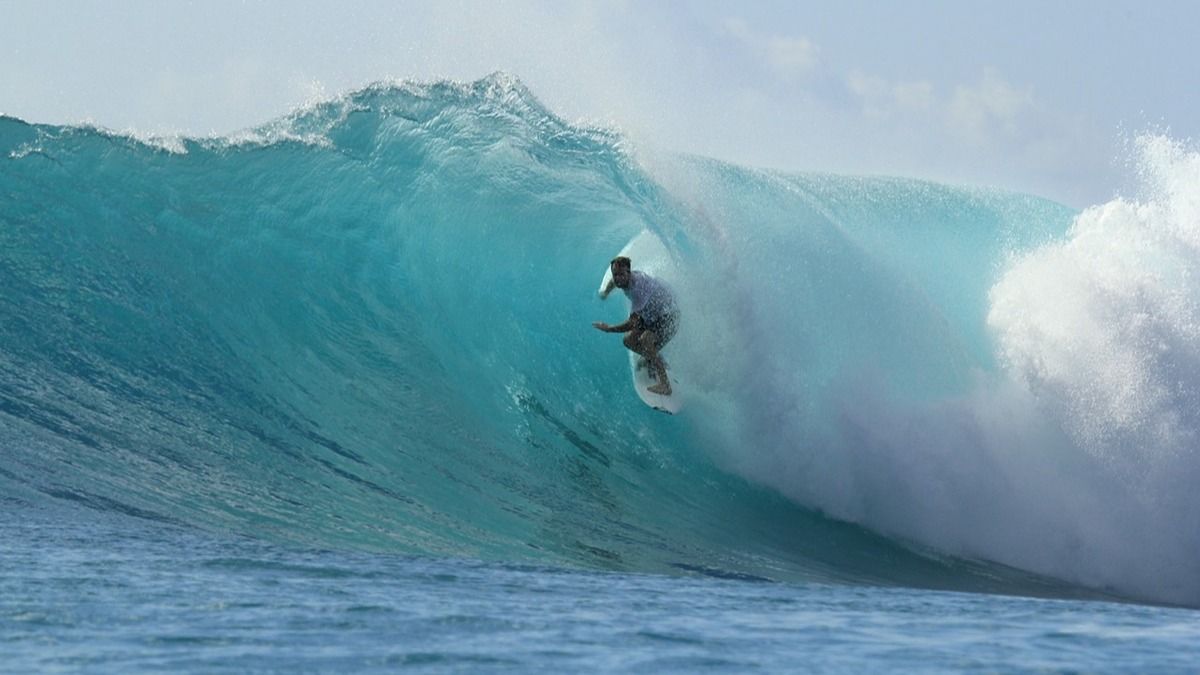 Missing Australian Surfer Feared Dead in Shark Attack, Police Confirm