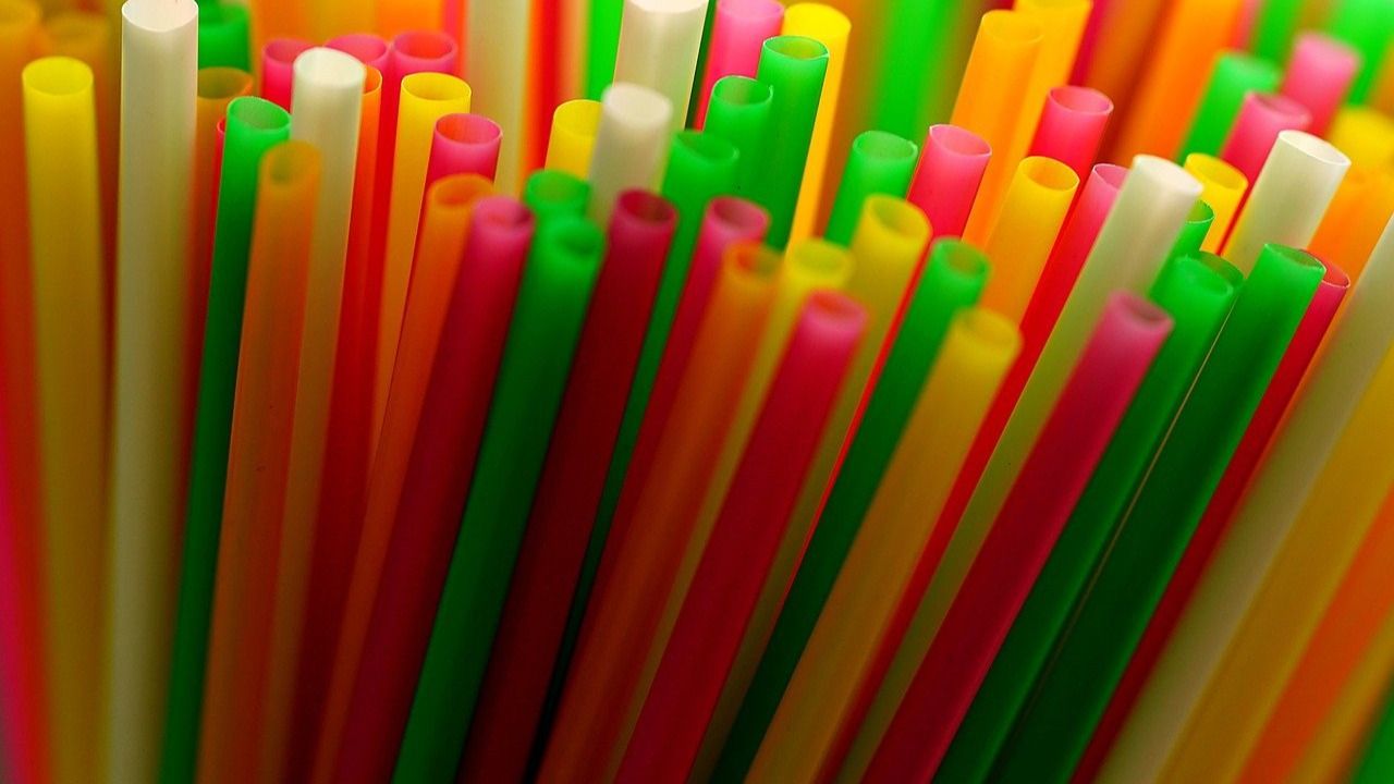 ‘Back to Plastic’: Trump Signs Order for Plastic Straws as He Declares Paper Ones ‘Don’t Work’