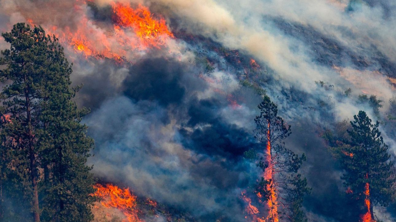 California’s Largest Wildfire Increases in Size, Over 100 People Evacuated