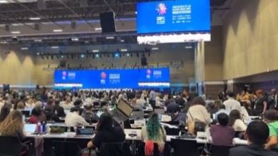 COP16 Suspended Without Agreement on New Fund for Nature