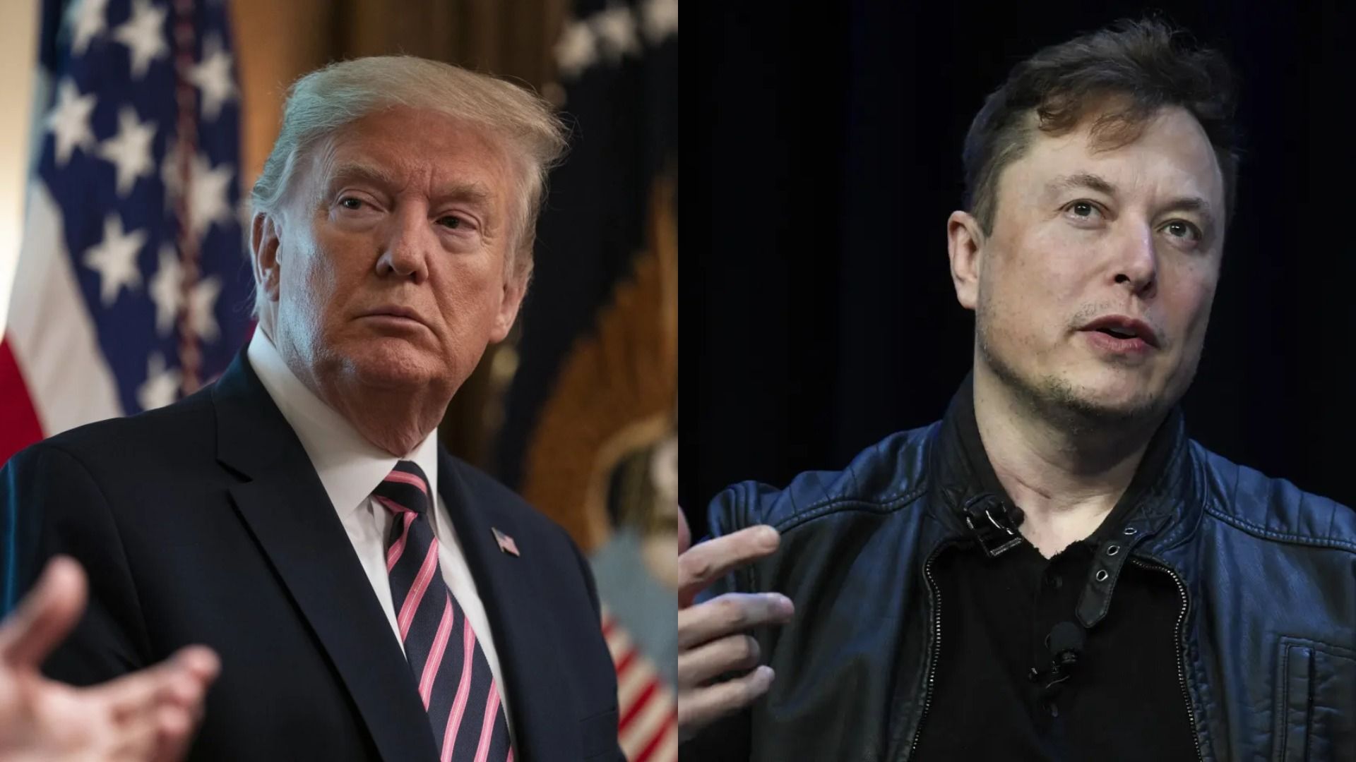 President Donald…Duck: ‘Has Google Imposed Search Ban on Trump?’ Asks Elon Musk