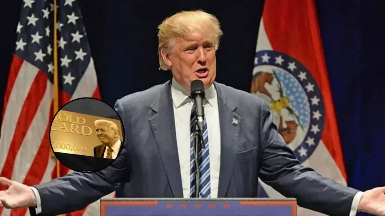 ‘Michael Waltz Learned A Lesson’: Trump Calls Accidental Leak Of Military Operation Plan On Signal Minor ‘glitch’