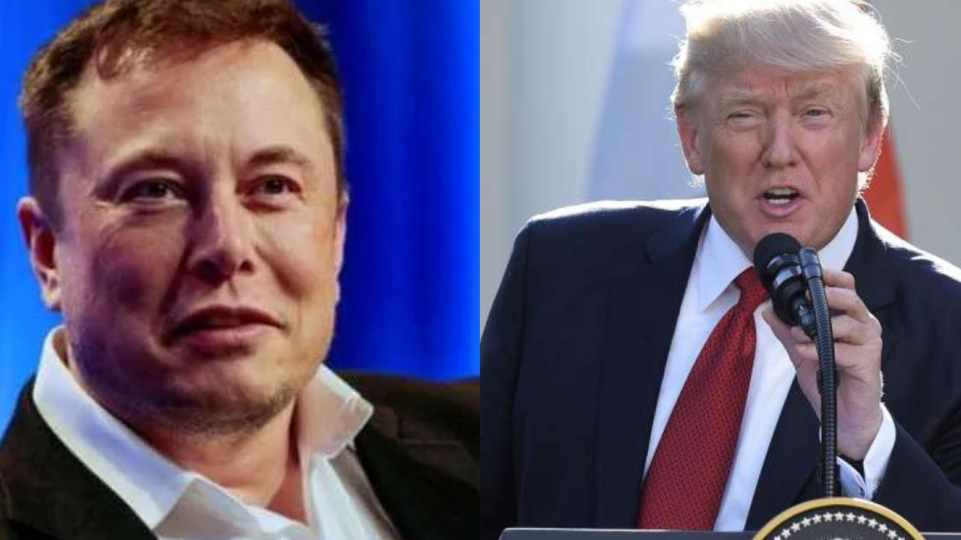 ‘I am Willing…’: Elon Musk’s Response After Trump Proposes He Would Make Him Adviser