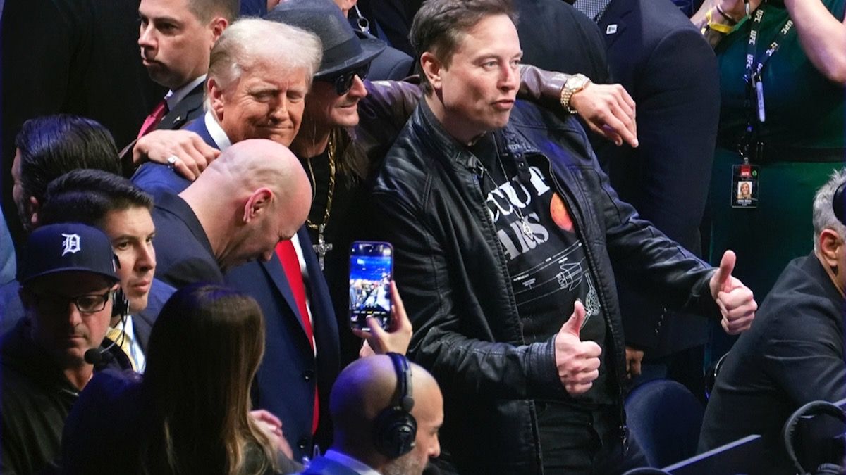 Elon Musk Enjoys Watching Reels, Trump Asks Him To Focus On UFC Match | Viral Video