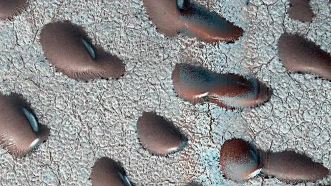 First Signs Of Water And Life On Mars, Satellite Images Spot Giant 'Kidney Beans'