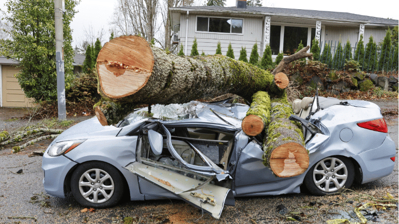 Record Heavy Rainstorm Snow on Northern California, Seattle Still Without Power