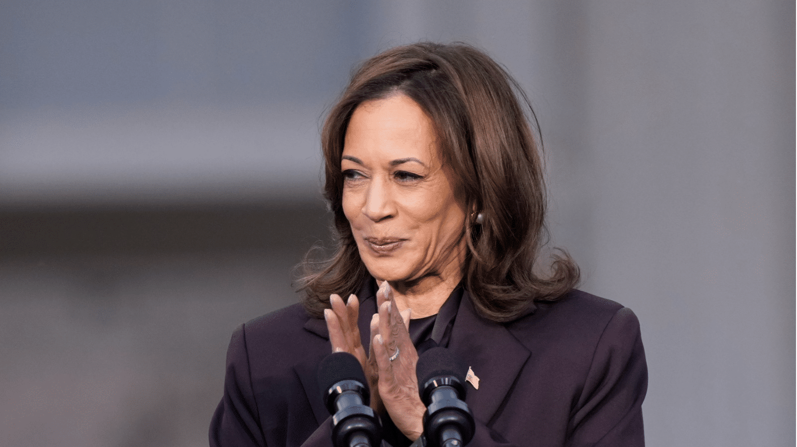 ‘Time To Roll Up Our Sleeves’: Kamala Harris As She Concedes To Donald Trump