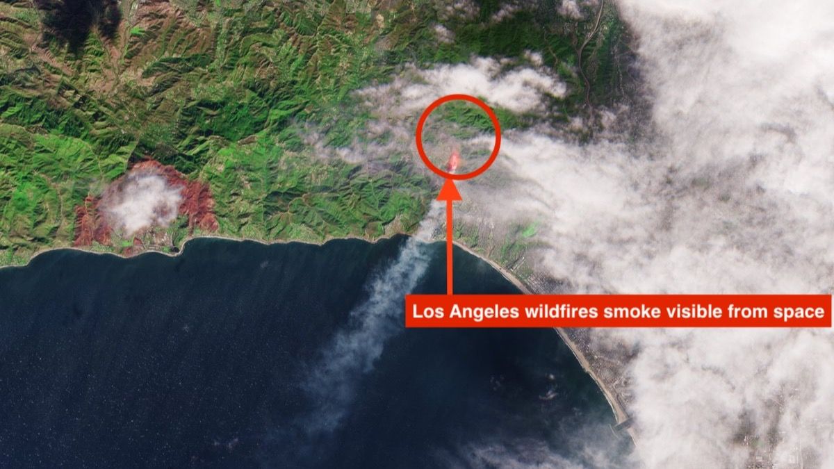 Los Angeles Wildfires Now Visible From Space, ESA Shares Photo Showing Smoke Rising From Pacific Palisades