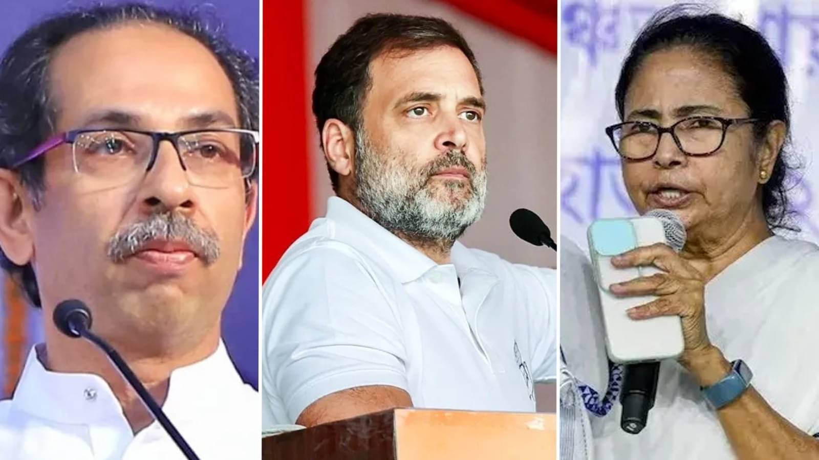 mamata-banerjee-1733927696983-16_9.webp?tr=f-jpeg