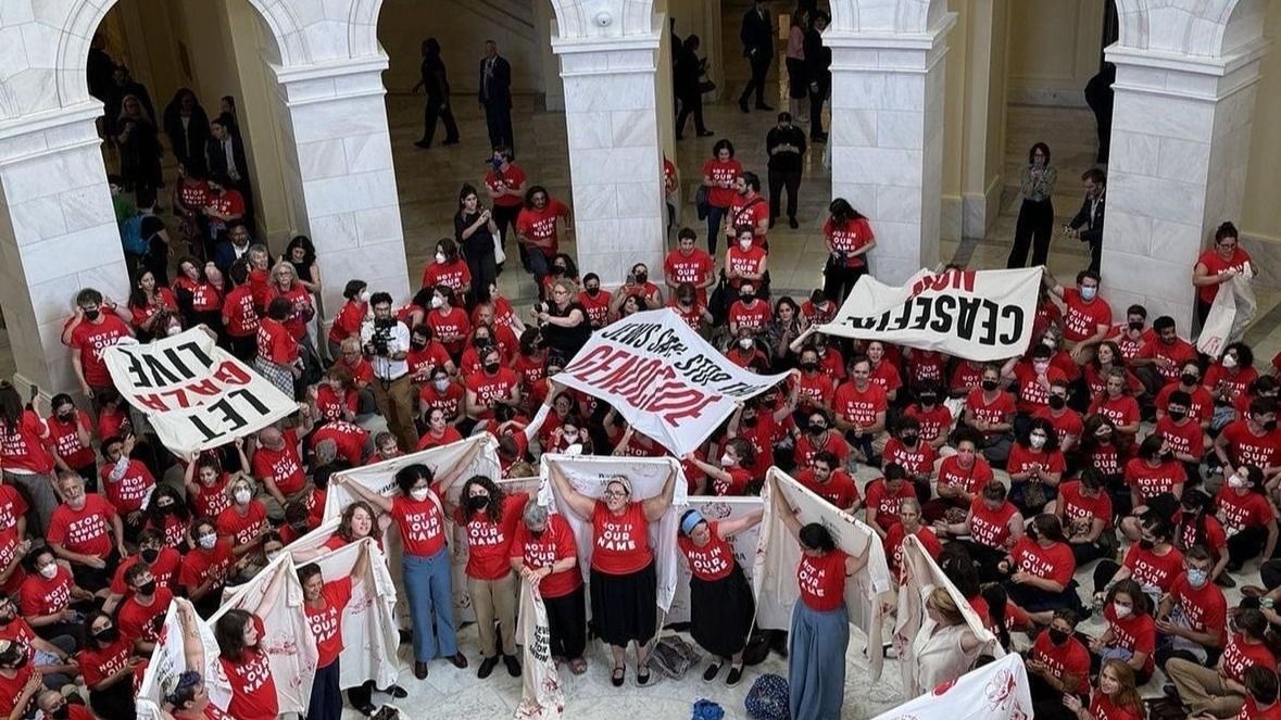 Nearly 200 Protesters Arrested for Invading Capitol Hill Ahead of Netanyahu’s Visit | VIDEO