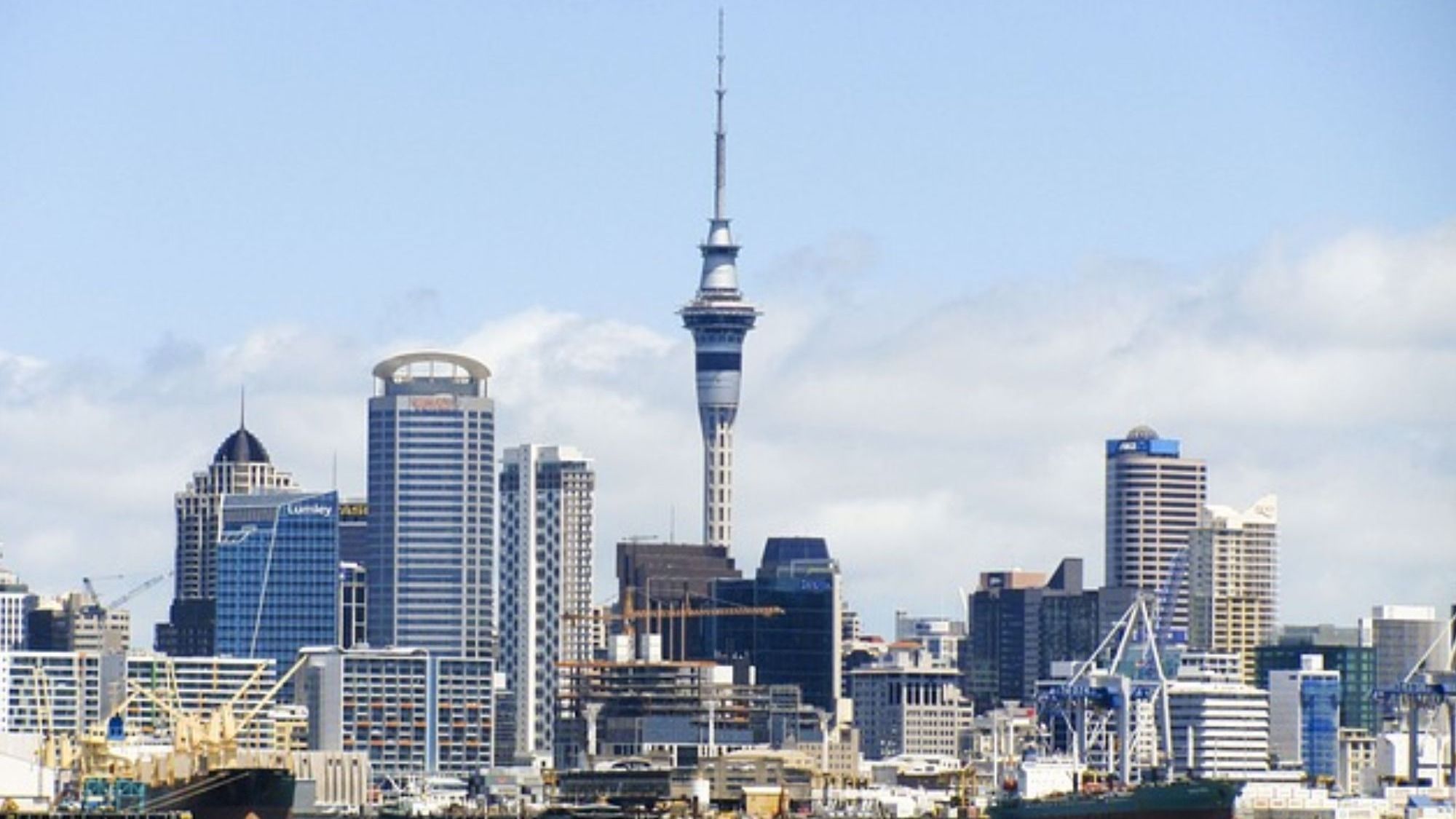 New Zealand Falls into Recession - What Are The Reasons?