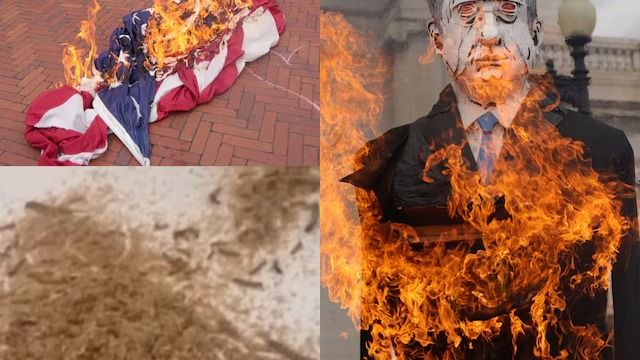 Protestors Raise Palestinian Flag, Take Down and Burn US Flag Near Congress