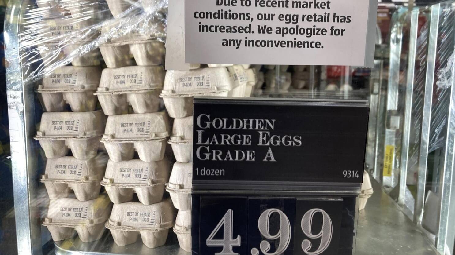 Soaring Egg Prices Are Piquing Interest In Backyard Chickens