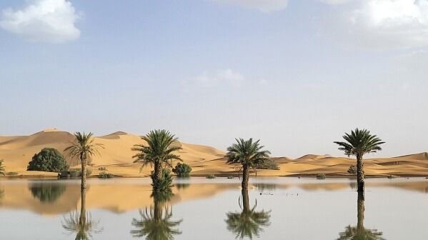 Water Gushes Through Palm Trees and Sand Dunes After Rare Rain in Sahara Desert