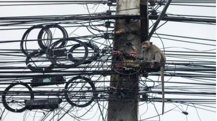 Great Sri Lankan Blackout: A Tale of Monkey or Government’s Neglect?