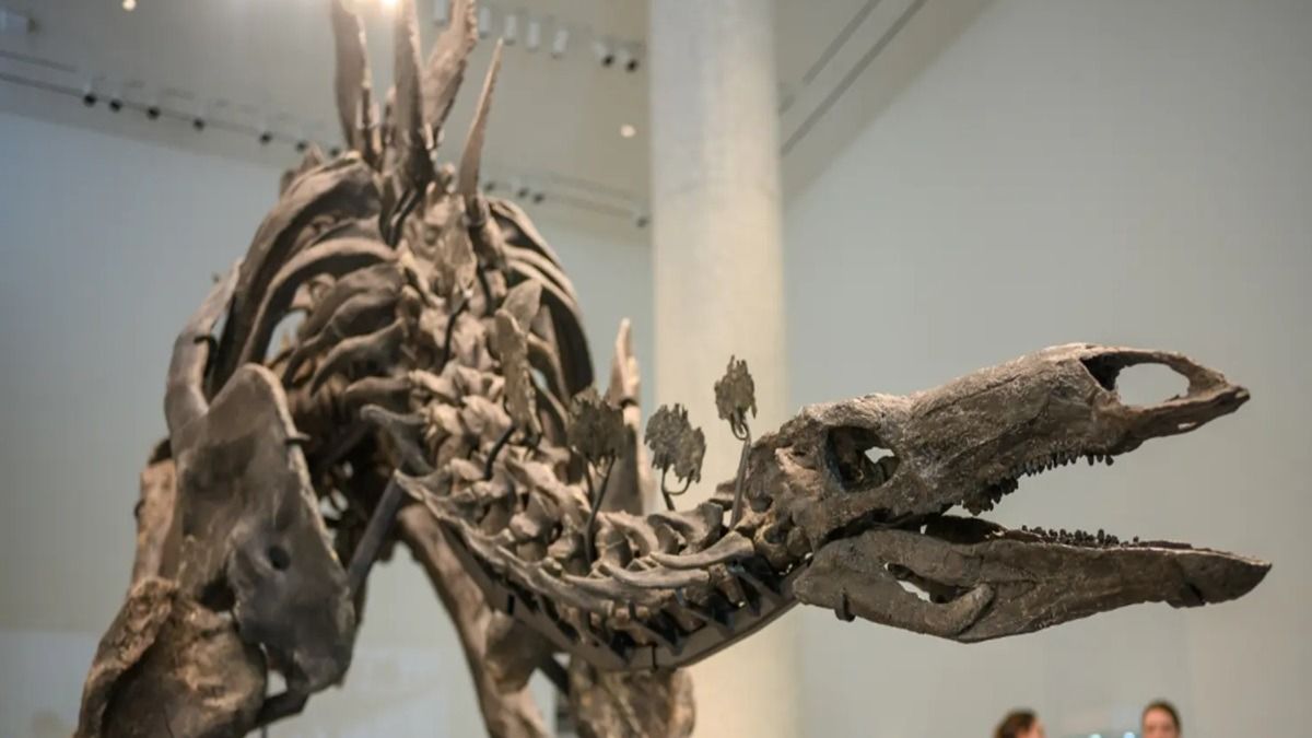 Dino-mite Deal: Largest Stegosaurus Skeleton Sold For $44.6 Million. Meet The Buyer