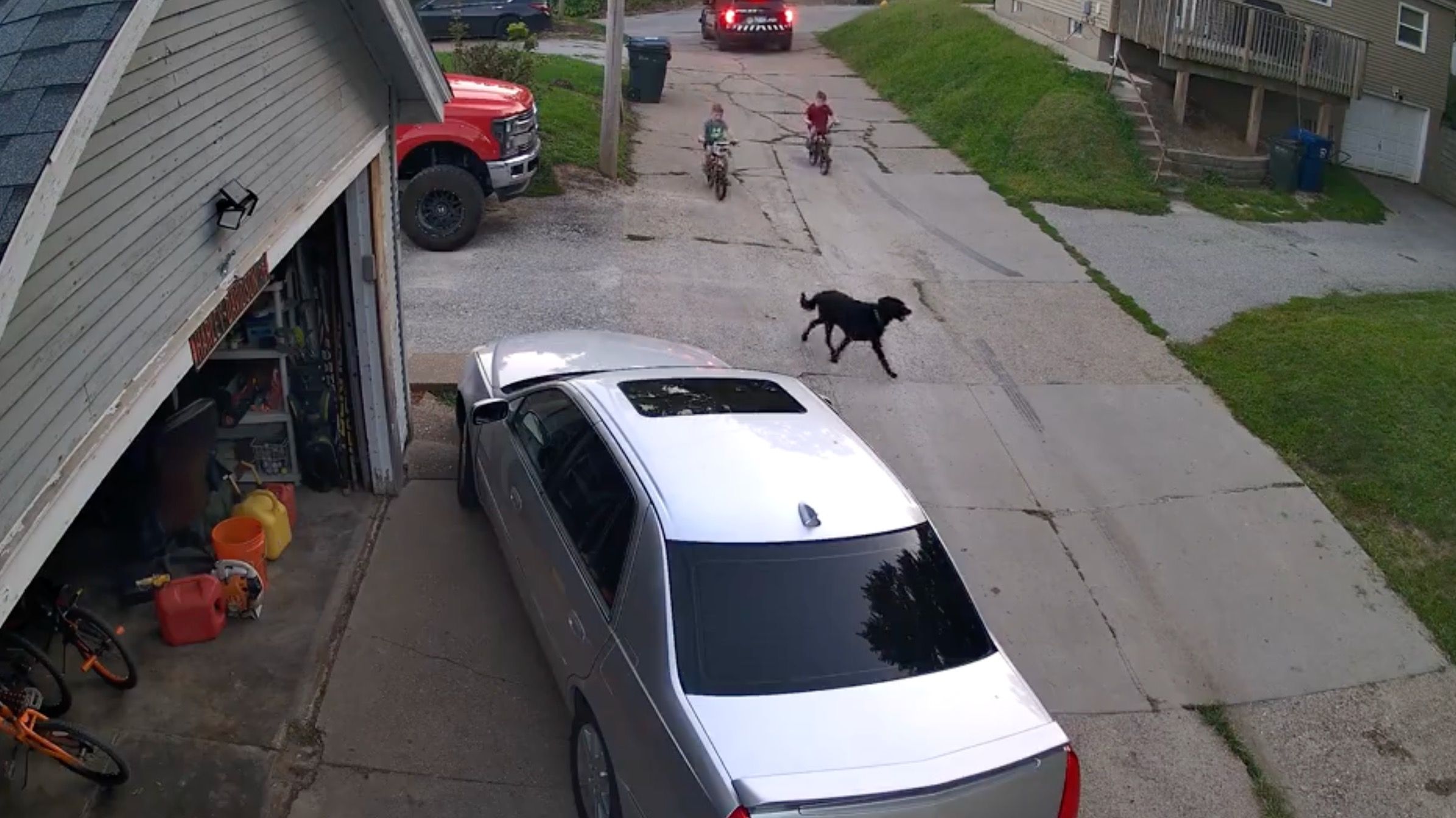 Disturbing Video Shows US Cop Shoots Dead Pet Dog In Front Of Kids, Owner, Internet Fumes