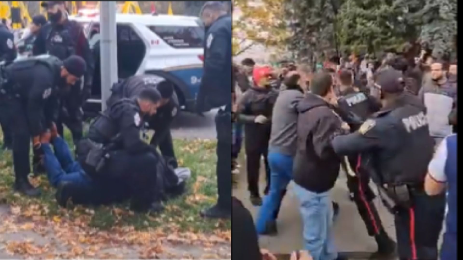 Video: Canada Cops Thrash Hindu Devotees Protesting Against Khalistani Attack on Temple