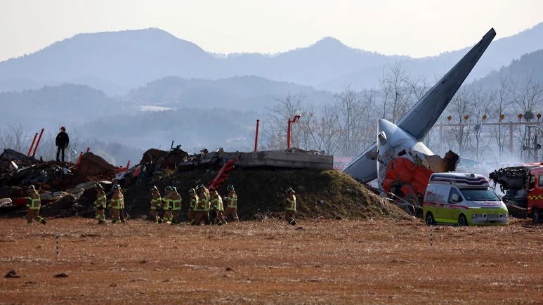 Bird Strike, Gear Failure And Belly Landing: The Deadly Chain of Events in South Korea Crash