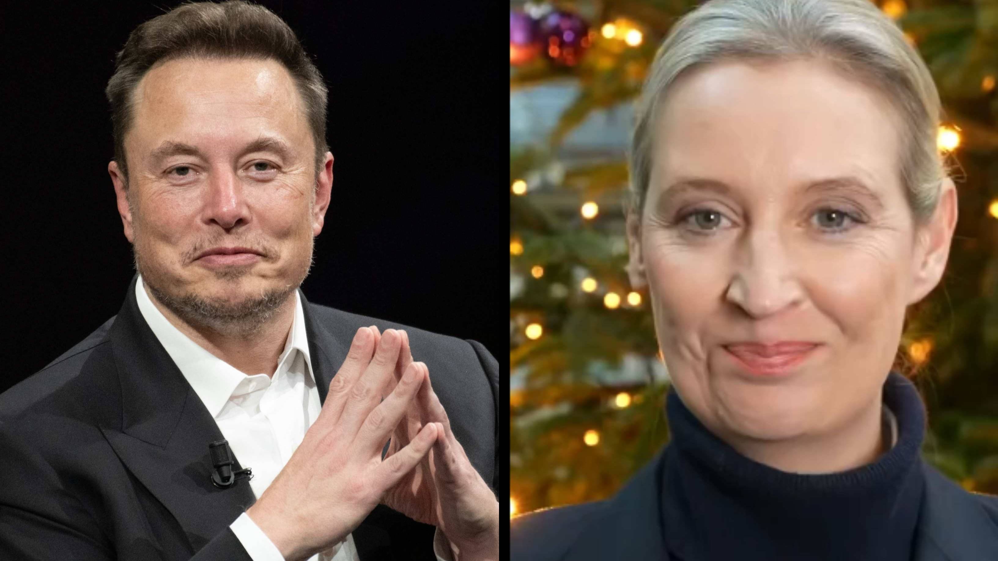 Who Is Alice Weidel? The Far-right Banker Elon Musk Wants as German Chancellor