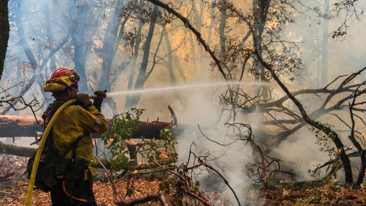 Fires in the West Are Becoming Ever Severe, Consuming. Why and What Can Be Done?