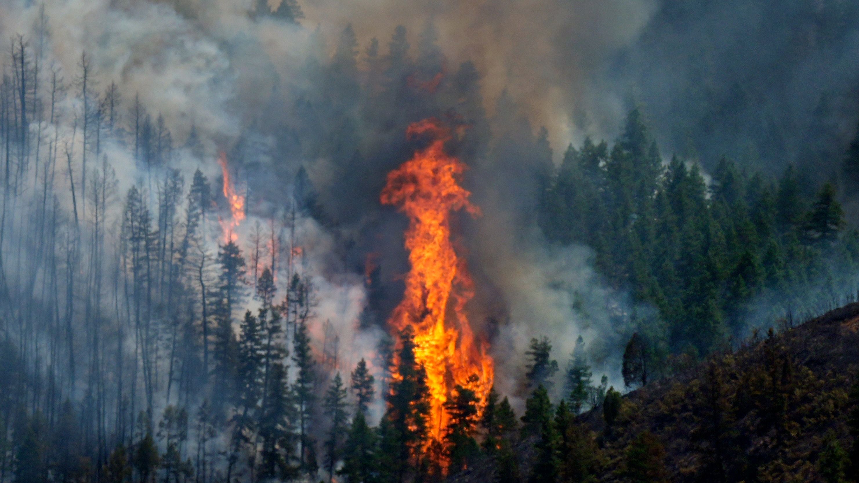 Wildfires in Colorado Burn Dozens of Homes and Structures, Threaten Hundreds More