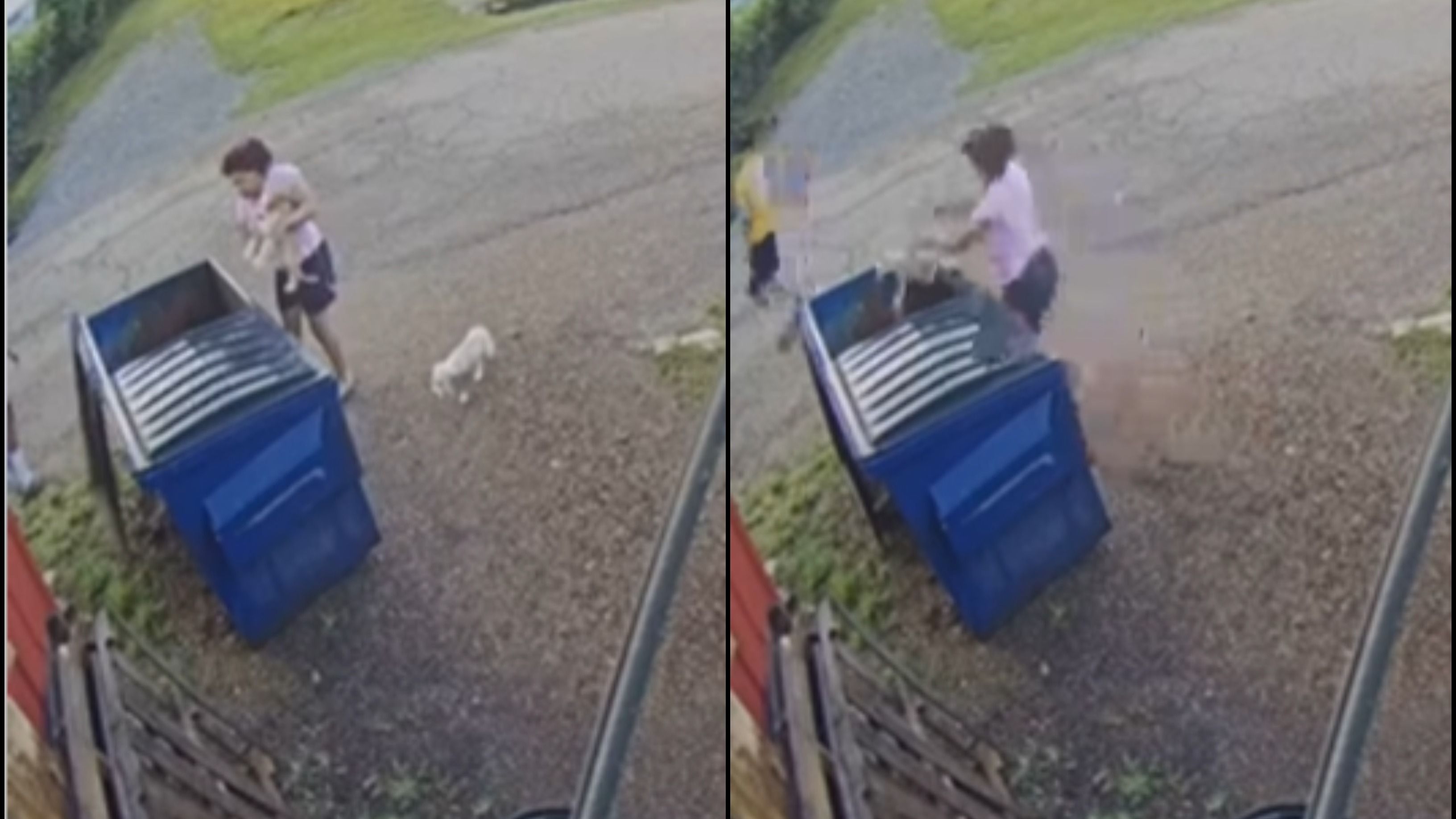 Viral Video Shows Woman Throwing Puppies Into Dumpster, Shock Users | WATCH