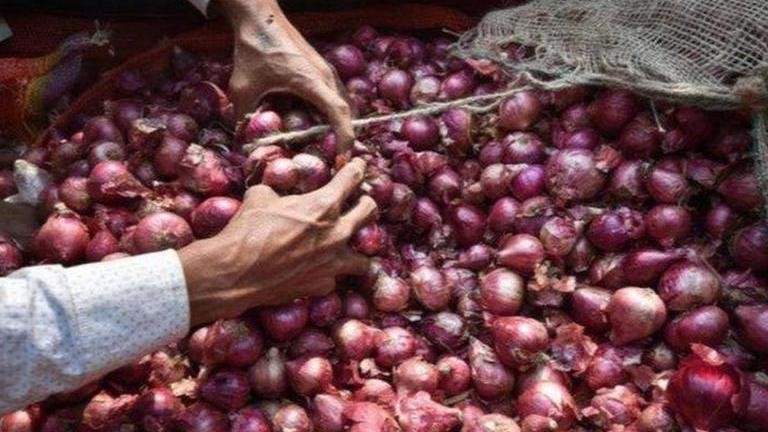 Govt To Procure 2 Lakh Tn Of Onion To Create Total 5 Lakh Tn Buffer