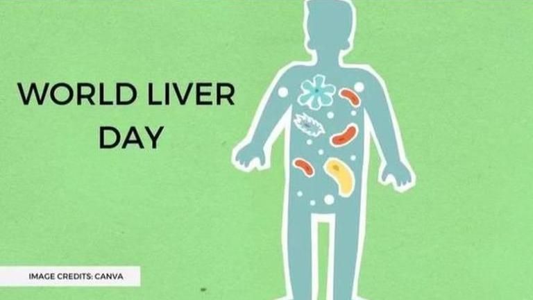 World Liver Day Significance Healthy Foods To Eat Herbs That