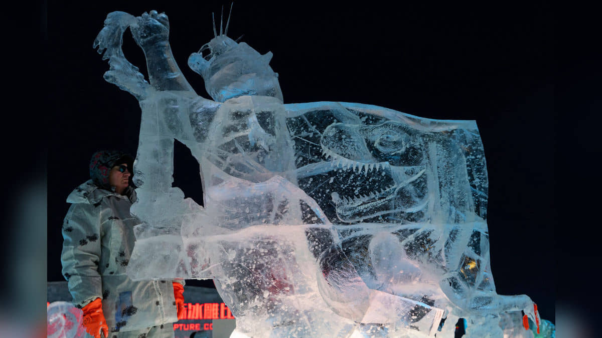 Description of the pic