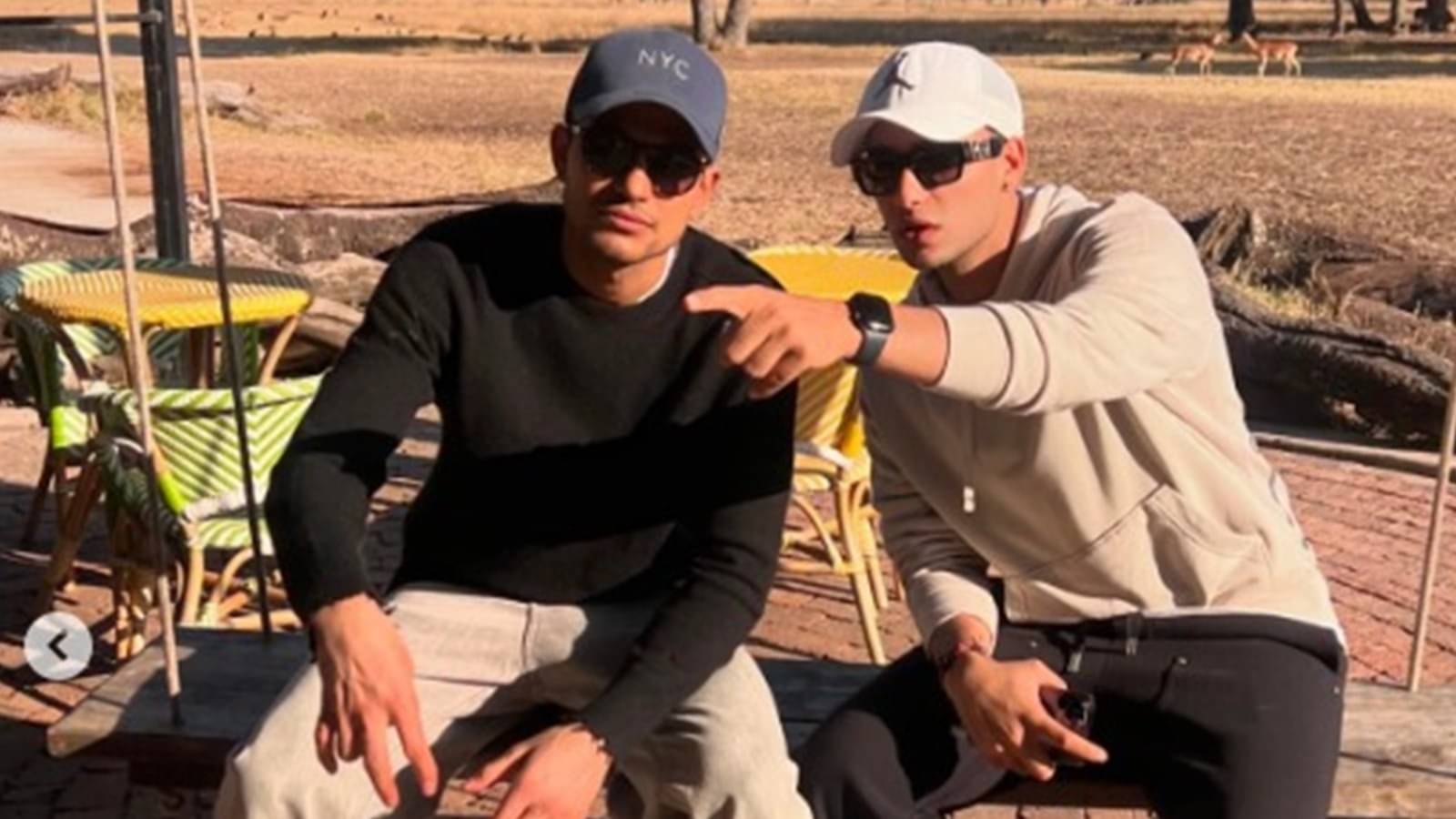 Description of the pic