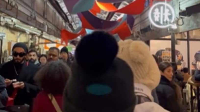 Description of the pic