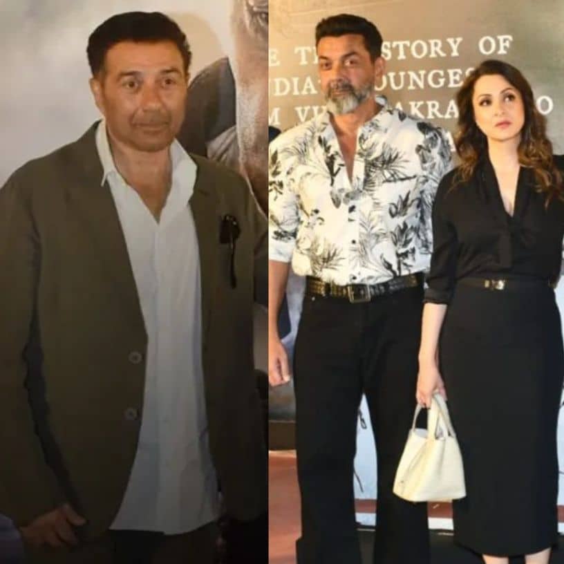 Description of the pic