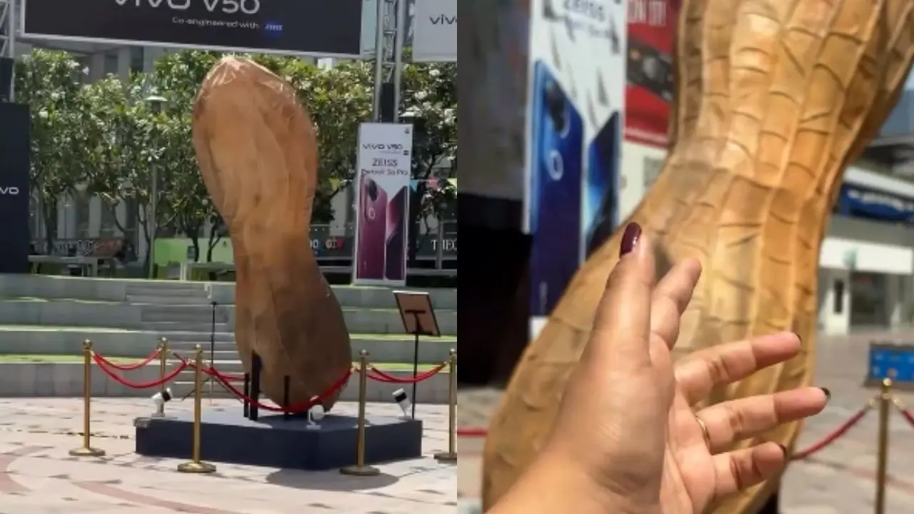10ft Peanut at CyberHub Mall Leaves Visitors Confused, Netizens Link It to Corporate Salaries