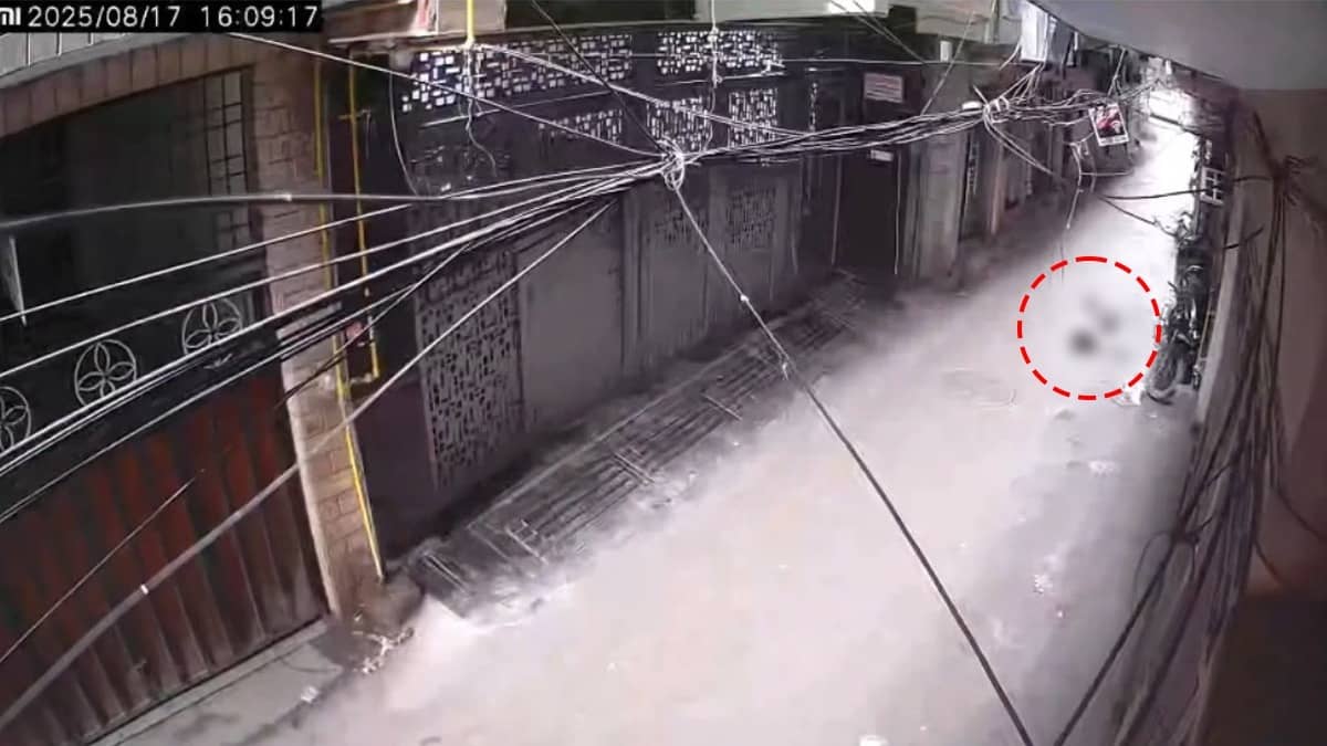 12-Year-Old Boy Dies After Falling from Terrace While Flying Kite in Delhi’s Zakir Nagar 