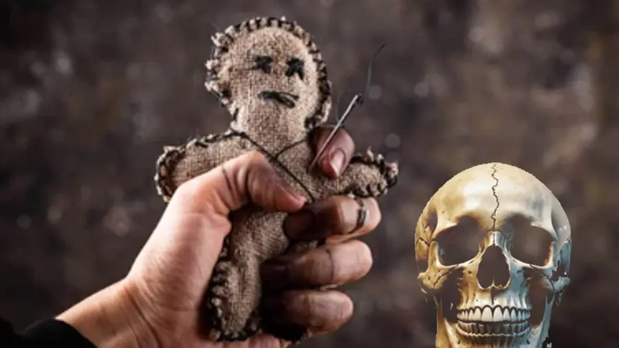 Hair, Bones & ‘Black Magic’: Lilavati Trustees Make SHOCKING Claims Amid ₹1200 Crore Fraud Probe Hair, Bones & ‘Black Magic’: Lilavati Trustees Make SHOCKING Claims Amid ₹1200 Crore Fraud Probe