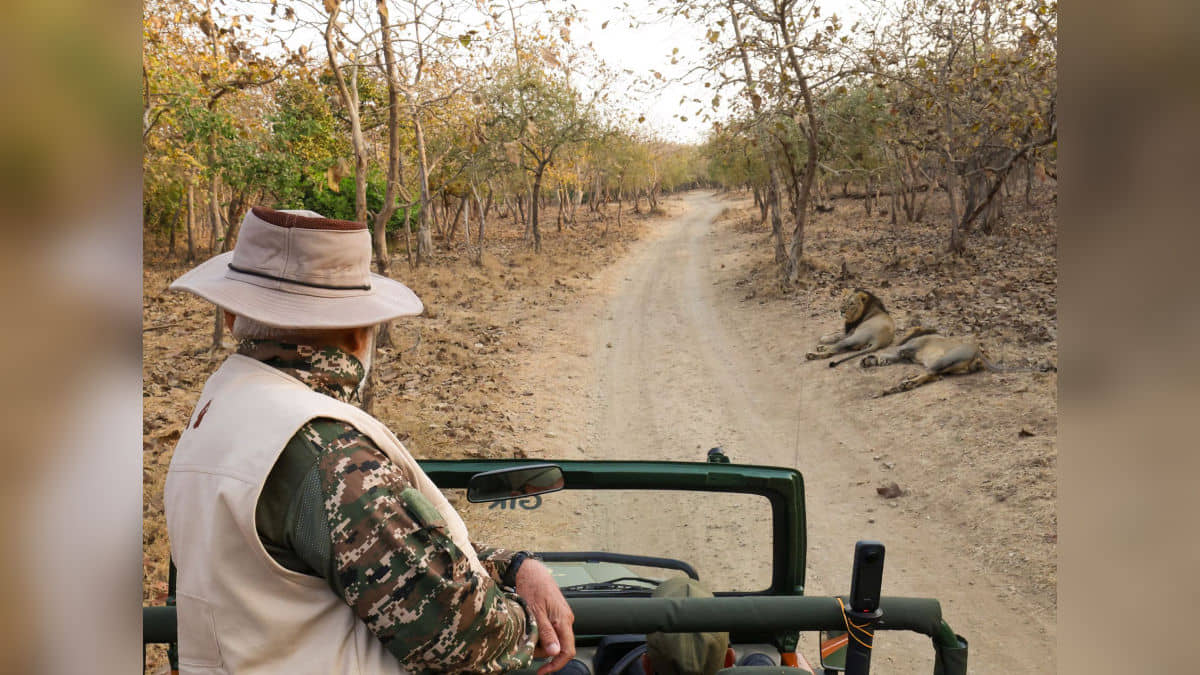 Description of the pic