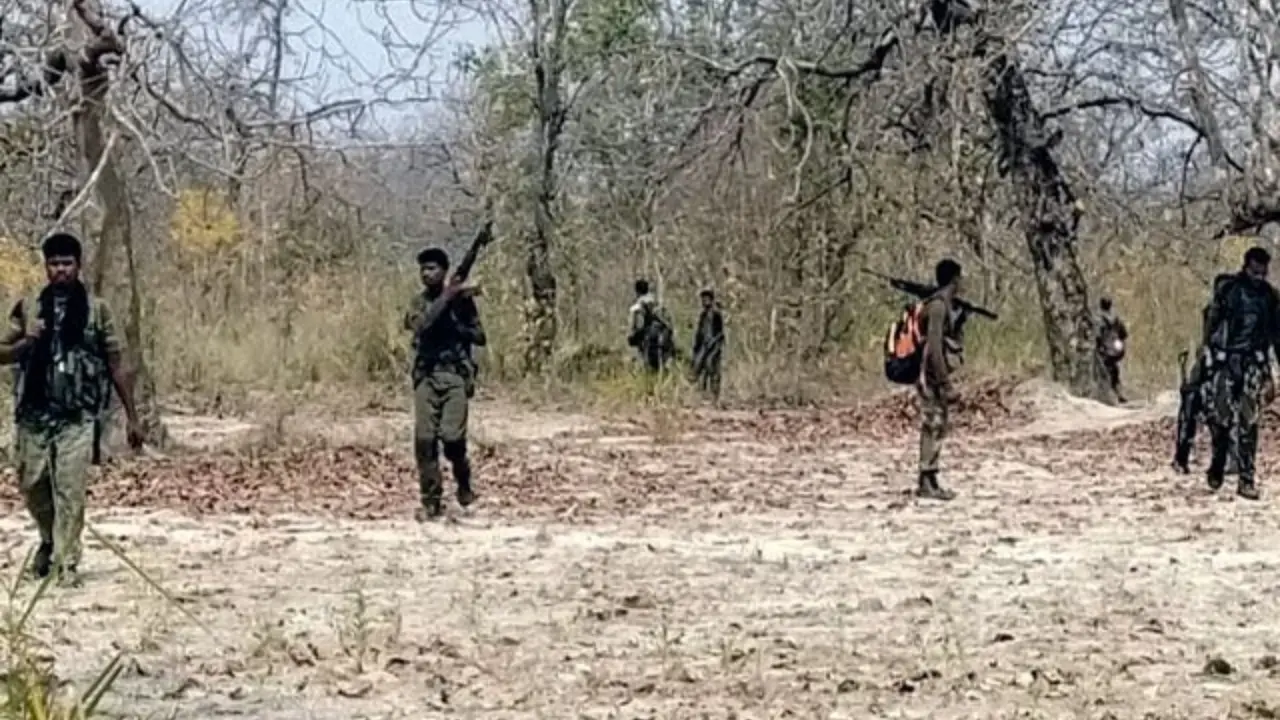 16 Maoists Killed, 2 Security Personnel Injured In Chhattisgarh Encounter 16 Maoists Killed, 2 Security Personnel Injured In Chhattisgarh Encounter