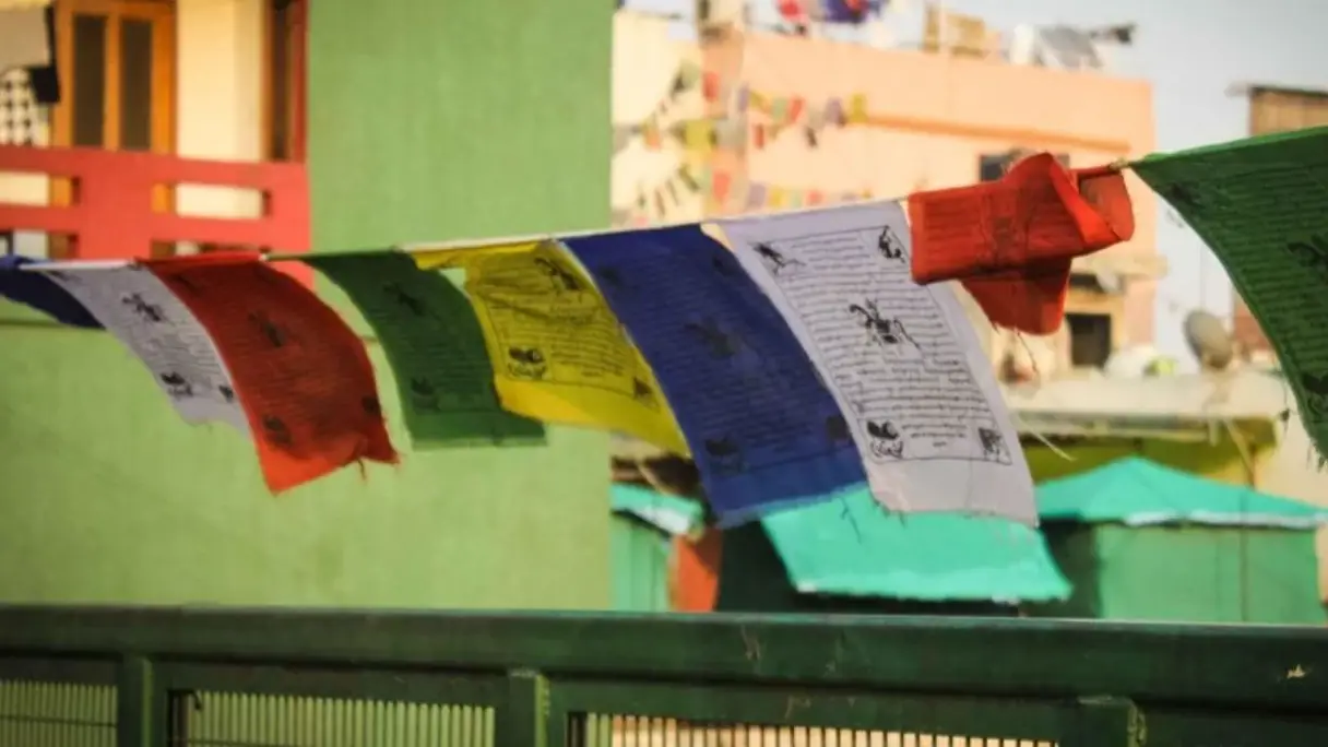 Description of the pic