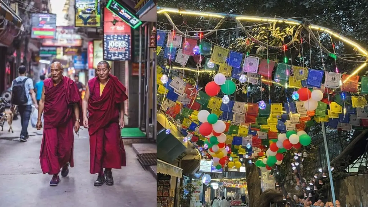 Description of the pic