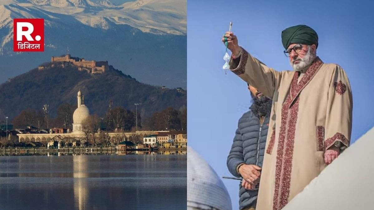 Description of the pic