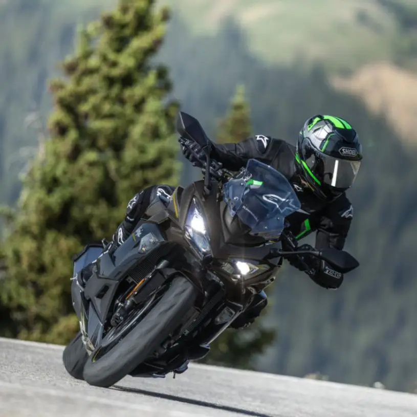 Description of the pic