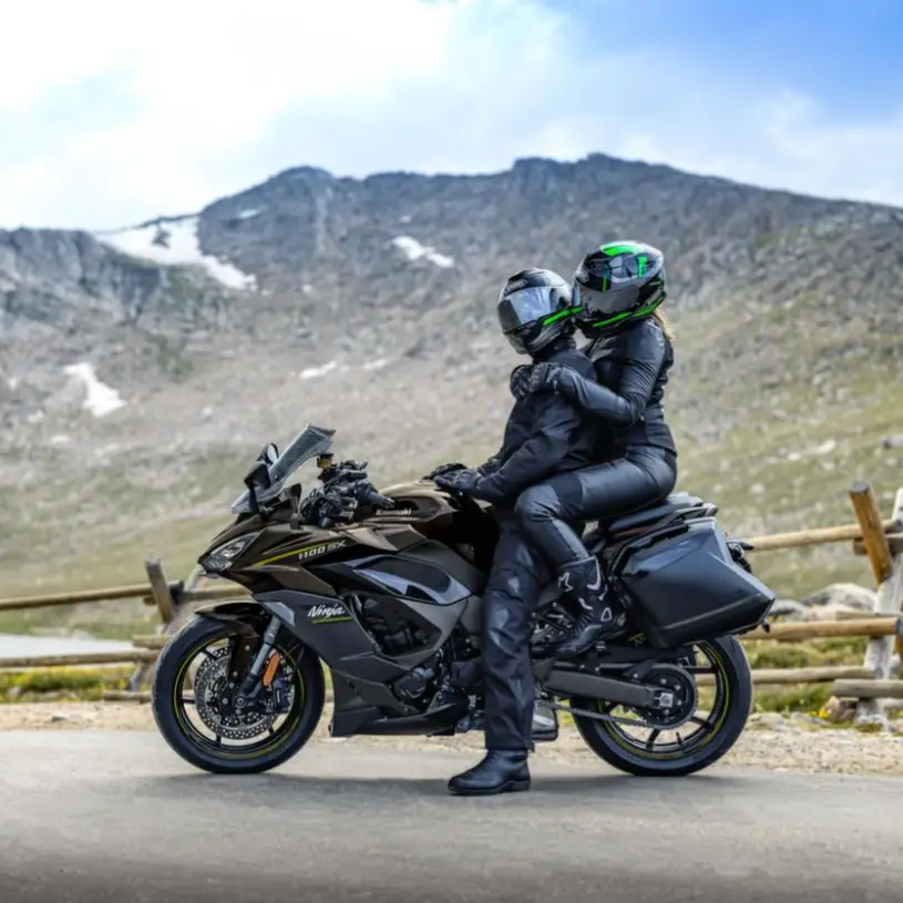 Description of the pic