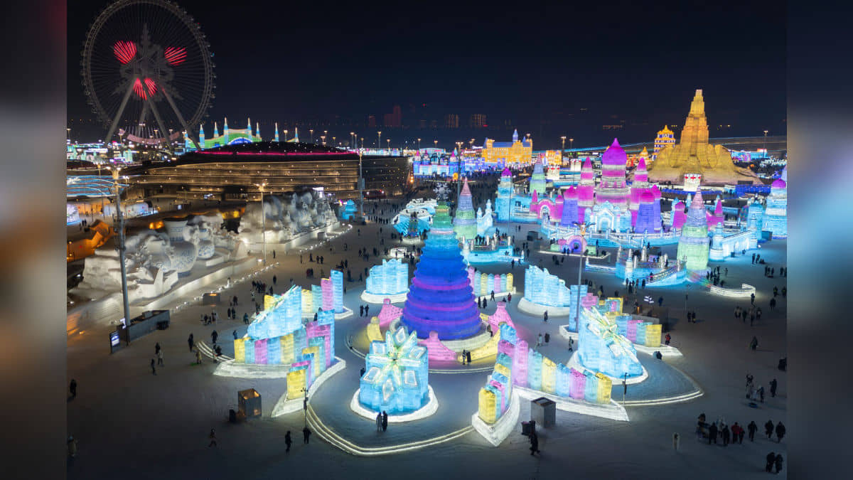 Description of the pic