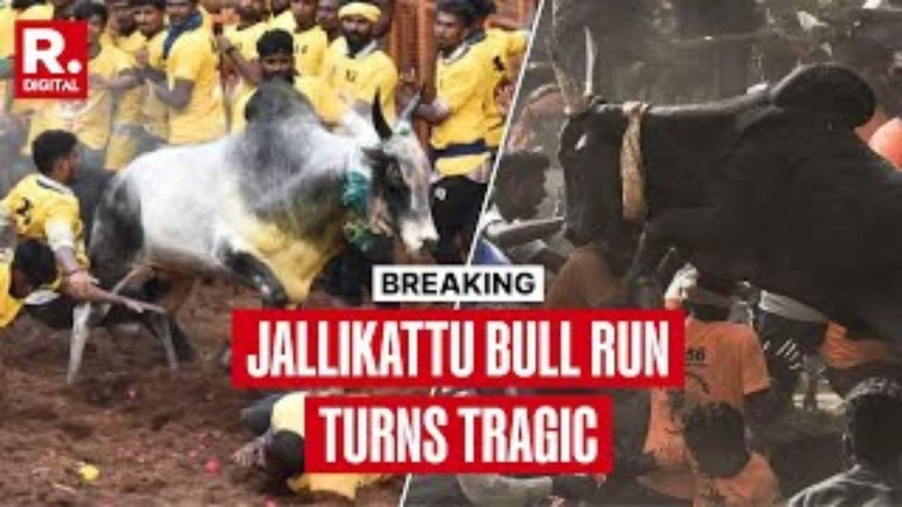 20 People Critically Injured In Jallikattu Bull Run