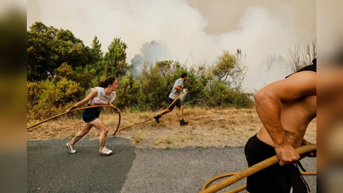 2025 Was One Of Three Hottest Years On Record: Scientists