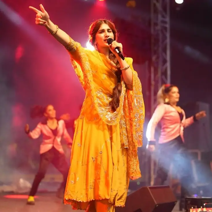 Description of the pic