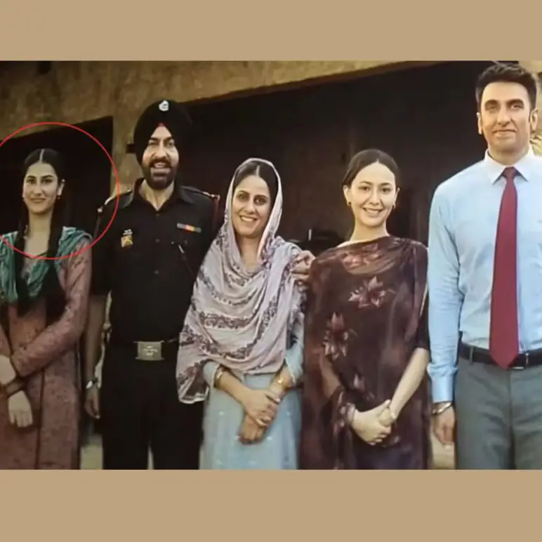 Description of the pic