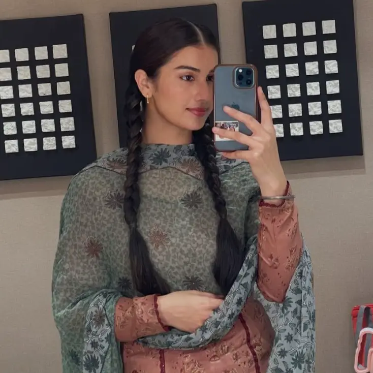 Description of the pic